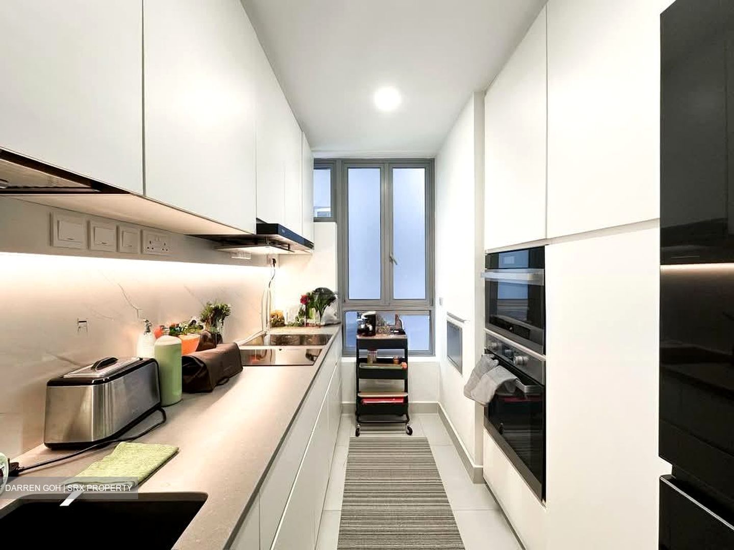 Ascentia Sky (D3), Condominium #594934721